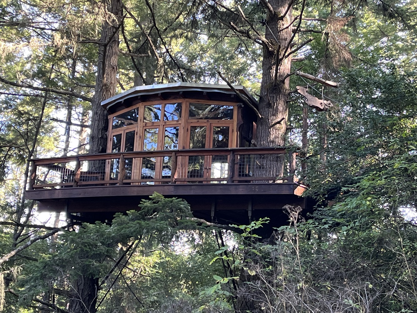 Front View of treehouse up in the trees