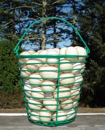 eggs
                            in a basket