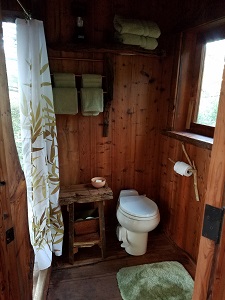 Bathroom
                      with shower, toilet and sink